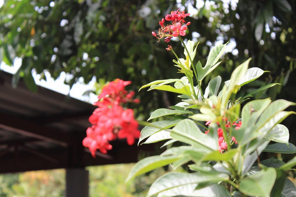 Lanta Happy Hill Hotel Ko Lanta Екстериор снимка